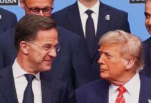 “Spekulimet” rreth largimit të SHBA-së nga NATO, Rutte: E kuptoj frustrimin e Presidentit Trump, por…