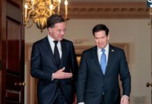 Çfarë e pret NATO-n?