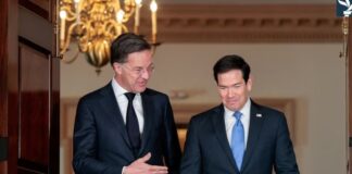 Çfarë e pret NATO-n?