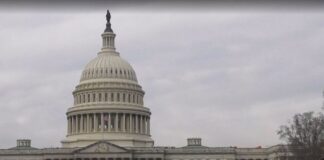 Dënimet me vdekje, Departamenti Amerikan i Drejtësisë rikthen ekzekutimet me pushkatim