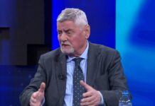 “Berisha është non-grata, pse duhet të luftojmë për të?”, Dashamir Shehi: Të rinjtë në PD dhe jashtë saj, t’i dalin zot!