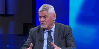 “Berisha është non-grata, pse duhet të luftojmë për të?”, Dashamir Shehi: Të rinjtë në PD dhe jashtë saj, t’i dalin zot!