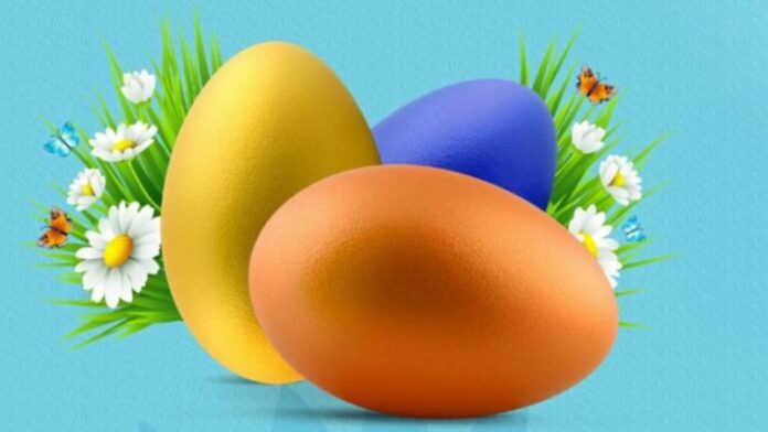 -800-0-1775377778x1775377460-tsdu6fyo-111