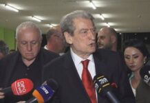 Evoluimi i Berishës, nga thikat me helm dhe çadrat pistoletë, te helmi që përdoret për të verbuar arinjtë