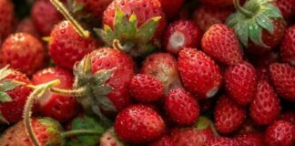 3 këshilla për të ulur konsumin e sheqerit dhe për të qetësuar sistemin nervor