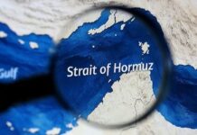 Zyrtarja franceze: NATO “nuk është krijuar” për operacione në Ngushticën e Hormuzit