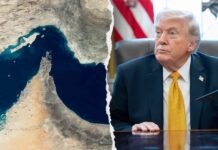 “O bastardë, hapeni Hormuzin”. Demokratët: Donald Trump ka nevojë për ndihmë