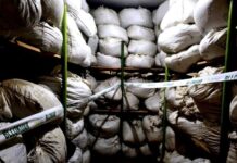 AKU bllokon 4 ton produkte bimore në Tiranë, vendosen edhe gjoba