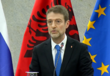 Ferit Hoxha me homologët nga Austria, Çekia dhe Sllovakia: Mbështetje e fortë për rrugën europiane të Shqipërisë