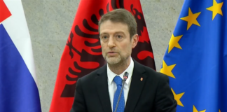 Ferit Hoxha me homologët nga Austria, Çekia dhe Sllovakia: Mbështetje e fortë për rrugën europiane të Shqipërisë