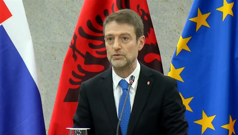 Ferit Hoxha me homologët nga Austria  Çekia dhe Sllovakia  Mbështetje e fortë për rrugën europiane të Shqipërisë