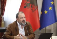 Përplasjet me opozitën: Mazniku: Duhet të rrisim kapacitetet njerëzore, jemi larg standardeve të BE-së