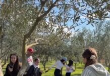 Fishta, destinacion në rritje i agroturizmit, fundjava ideale mes natyrës dhe traditës