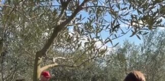 Fishta, destinacion në rritje i agroturizmit, fundjava ideale mes natyrës dhe traditës