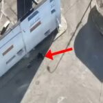 Durrës, zbulohet baza që prodhonte drogë sintetike për adoleshentët, në pranga 2 vëllezër