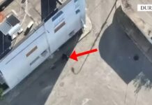 Durrës, zbulohet baza që prodhonte drogë sintetike për adoleshentët, në pranga 2 vëllezër