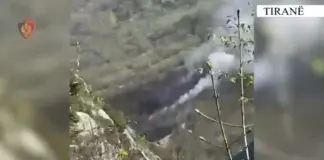 Ndezi zjarr në Parkun Kombëtar të Dajtit duke rrezikuar djegien e pyjeve, arrestohet 62-vjeçari