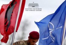 17 vjetori i anëtarësimit të Shqipërisë në NATO, Hoxha: Shqipëria ka dëshmuar se është një Aleate e përkushtuar dhe e besueshme