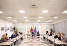 Hoxha takim me Këshillin Koordinues të Diasporës: Fazë e re bashkëpunimi për Shqipërinë 2030