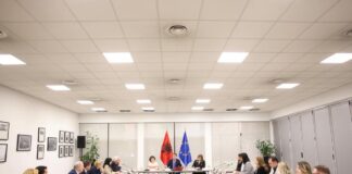 Hoxha takim me Këshillin Koordinues të Diasporës: Fazë e re bashkëpunimi për Shqipërinë 2030