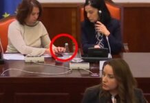 Sherr në Kuvendin e Maqedonisë së Veriut për gjuhën shqipe, deputetja shqiptare bllokon seancën