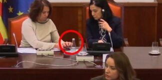 Sherr në Kuvendin e Maqedonisë së Veriut për gjuhën shqipe, deputetja shqiptare bllokon seancën