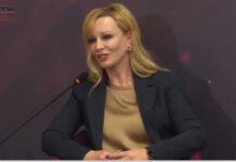 Samiti i Diasporës, Anxhela Paparizo vlerëson rolin e shqiptarëve jashtë vendit dhe stafeve mjekësore