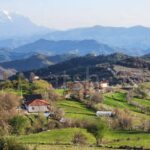 Gjinari, arratisja perfekte malore pranë Tiranës