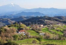 Gjinari, arratisja perfekte malore pranë Tiranës