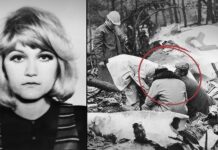 Lajmi që shokoi botën/Stjuardesa që MBIJETOI nga një rënie prej mbi 10 mijë metrash, pa parashutë…