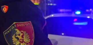 Vrasja në Nikël, identifikohet viktima dhe autori