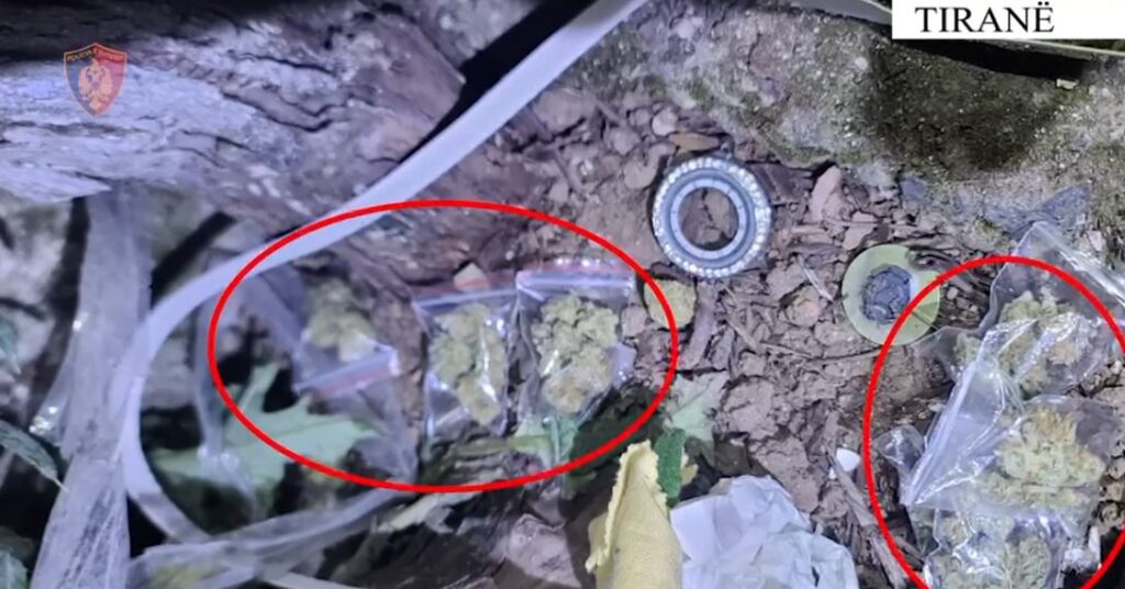Tiranë  Zbulohen dy raste të shpërndarjes së kokainës dhe kanabisit  3 të arrestuar