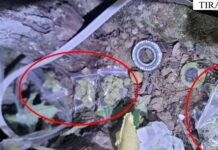 Tiranë/ Zbulohen dy raste të shpërndarjes së kokainës dhe kanabisit, 3 të arrestuar