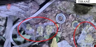 Tiranë/ Zbulohen dy raste të shpërndarjes së kokainës dhe kanabisit, 3 të arrestuar
