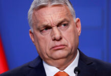 Orban pranon humbjen, vjen mesazhi i parë i liderit që dominoi 16 vite Hungarinë
