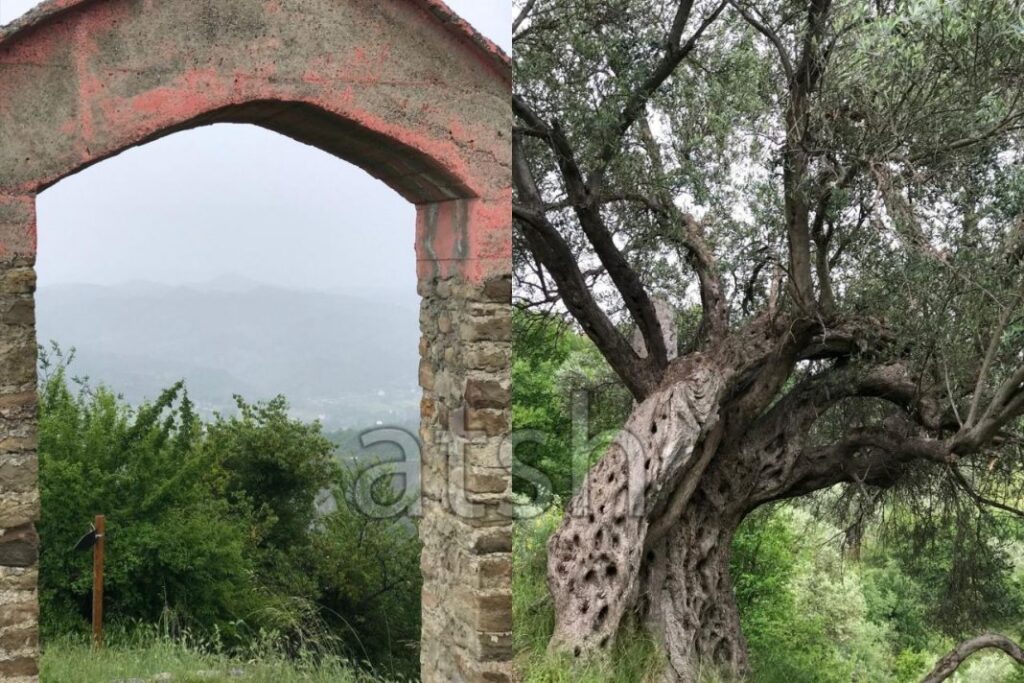 ullishtat-e-mocme-te-ndroqit-kalaja-e-varoshit-dhe-njerezit-bujare
