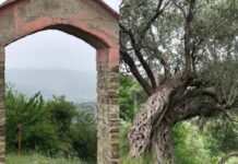 Ullishtat e moçme të Ndroqit, kalaja e Varoshit dhe njerëzit bujarë