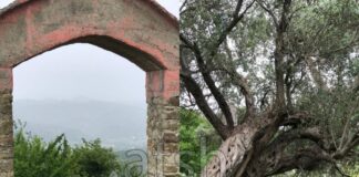 Ullishtat e moçme të Ndroqit, kalaja e Varoshit dhe njerëzit bujarë
