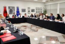 Hoxha: Po hartohet dokumenti për Strategjinë Kombëtare të Diasporës 2026-2030