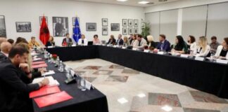 Hoxha: Po hartohet dokumenti për Strategjinë Kombëtare të Diasporës 2026-2030