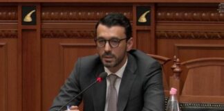 Arsyet e ankthit të deputetëve të PD-së për ‘Portën e Alpeve’