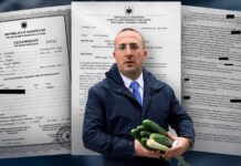 DOKUMENTET / Skandali në Lushnje: Saimir Korreshi hipotekoi toka pa tituj pronësie (akuzat)