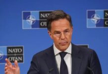 Shefi i NATO-s: Barra e ndihmës për Ukrainën bie mbi 6 ose 7 aleatë!