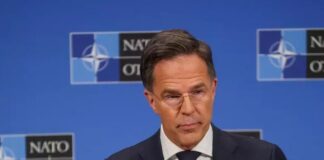 Shefi i NATO-s: Barra e ndihmës për Ukrainën bie mbi 6 ose 7 aleatë!