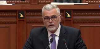 Gogu opozitës: Ne çojmë rezultate në Bruksel, ju çoni akuza