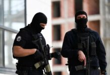 Kosovë – Çfarë do të nënkuptonte Xhandarmëria për sigurinë në veri?