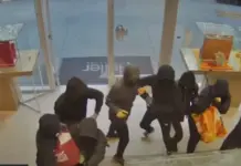 Grabitje me armë në një argjendari në Kamëz