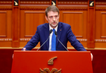 Ministri i Jashtëm reagon për trajtimin e aktivistëve nga Izraeli: Pamje tronditëse