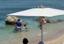 Vlora nis fort sezonin, turistët e huaj dominojnë në bregdetin e jugut, prenotimet rriten deri në 30%