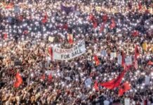 ‘Protestë me shumë parulla e kërkesa, por pak qartësi’, Rama ndan postimin e anëtarit të AAK-së: Flamingoja është simboli, jo arsyeja